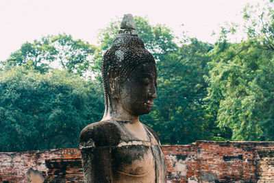 Statue of buddha against trees