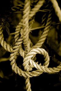 Close-up of rope tied up outdoors