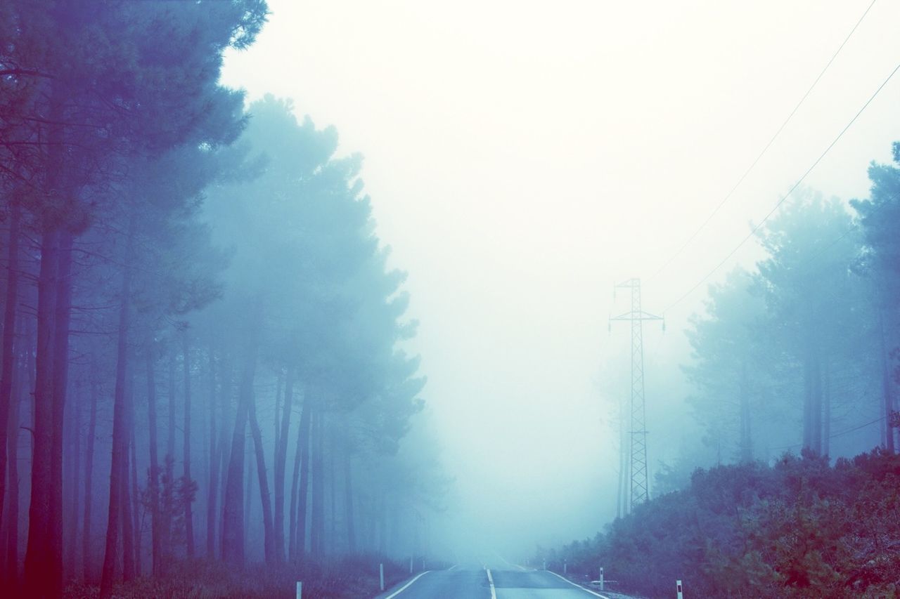 fog, tree, the way forward, transportation, foggy, weather, road, tranquility, tranquil scene, nature, diminishing perspective, beauty in nature, scenics, winter, sky, landscape, non-urban scene, vanishing point, power line