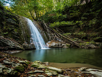 Scenic view of waterfall in forest