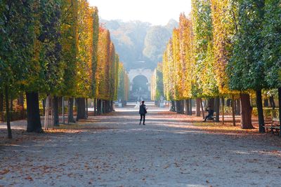 Man walking by trees during autumn