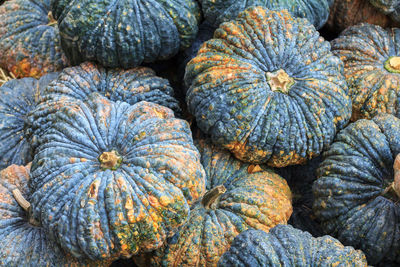 Full frame shot of pumpkins