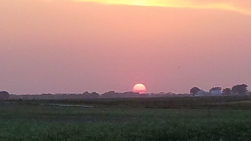 Scenic view of field against clear sky during sunset