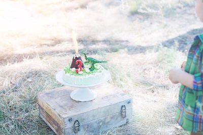 Cropped image of boy standing by birthday cake in back yard