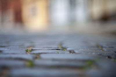 Surface level of footpath