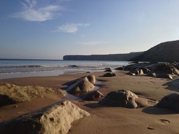 Scenic view of beach