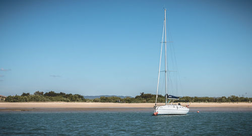 Sailboat sailing on sea against blue sky