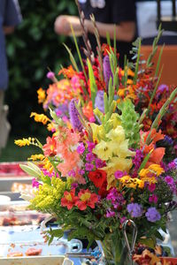 Close-up of multi colored flowers