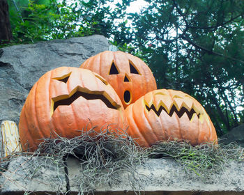 Close-up of pumpkin against trees