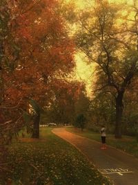 Rear view of person walking on road during autumn