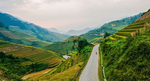 Scenic view of agricultural landscape against sky