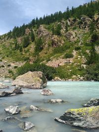 Scenic view of rocks by trees against sky