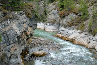 Stream flowing through rocks in forest