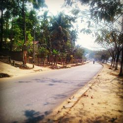 Empty road along trees