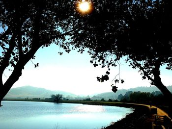 Reflection of trees in lake