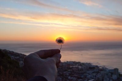 Scenic view of sea at sunset