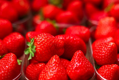 Full frame shot of strawberries