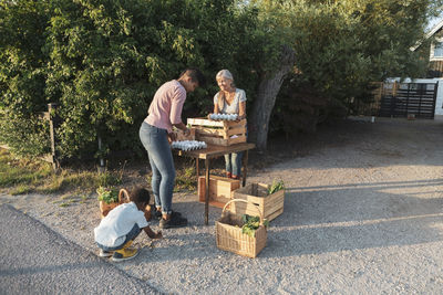 Female farmers arranging eggs on stall with boy crouching by plants