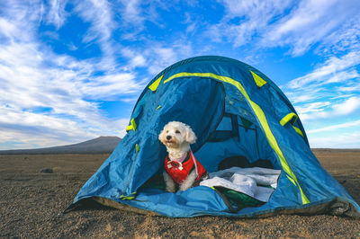 Tent against sky