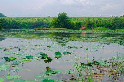 Scenic view of lake against sky