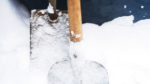 Close-up of snow on wood