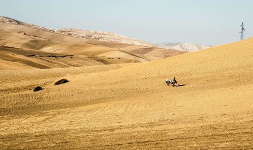 Scenic view of desert against clear sky