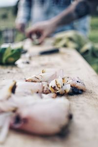 Close-up of dead fish