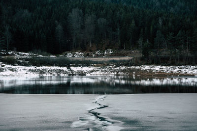 Scenic view of frozen lake in forest during winter