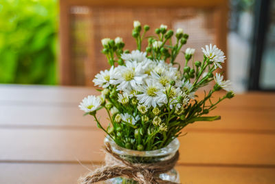 Close-up of flowers in vase on table