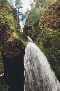 Close-up of waterfall amidst trees in forest