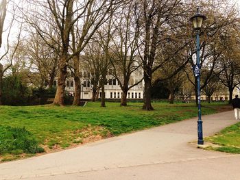 Trees in park