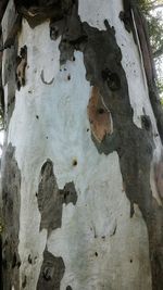 Close-up of weathered wall