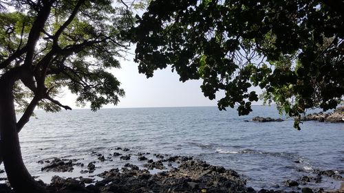 Scenic view of sea against clear sky