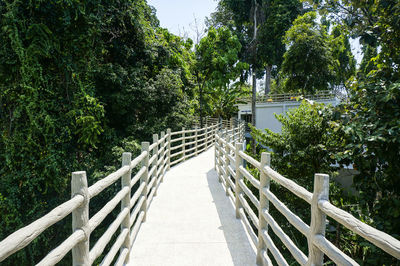 Footbridge amidst trees in forest