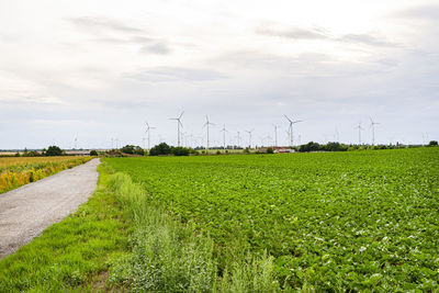 Wind turbines for the production of electricity from wind in a field in western germany.