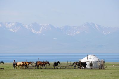 Nomadic culture in kyrgyzstan.