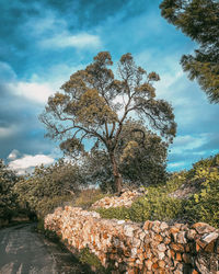 tree