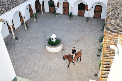 From above of male equestrian riding chestnut horse around courtyard on ranch during dressage on sunny day