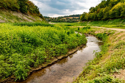 Scenic view of stream amidst plants against sky