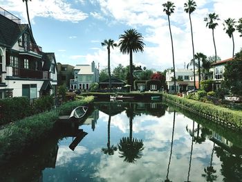 Reflection of palm trees on water in city