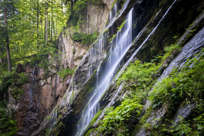 Scenic view of waterfall in forest at wimbach canyon.