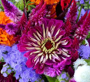 Close-up of flowers blooming outdoors