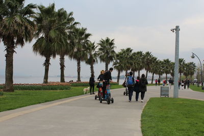 People riding bicycle on road by palm trees against sky