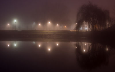 Reflection of illuminated trees in lake at night