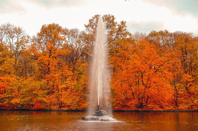 Waterfall in forest during autumn