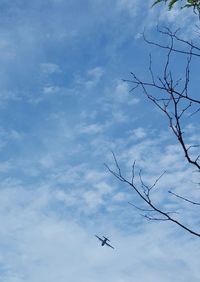 Low angle view of airplane flying against sky