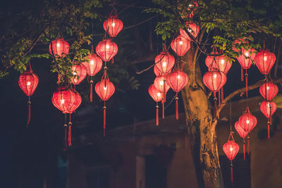 Low angle view of illuminated lanterns hanging on tree at night