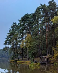 Trees by lake in forest against sky