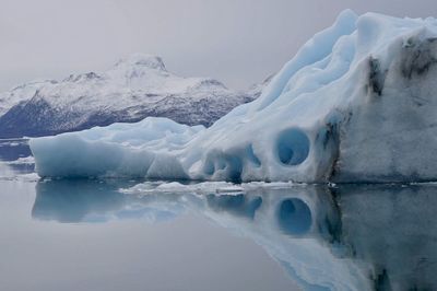 Scenic view of icebergs against clear waters 