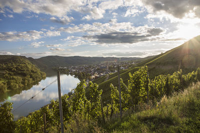 Scenic view of landscape against sky